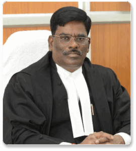 HONOURABLE SRI. JUSTICE PULLA KARTHIK